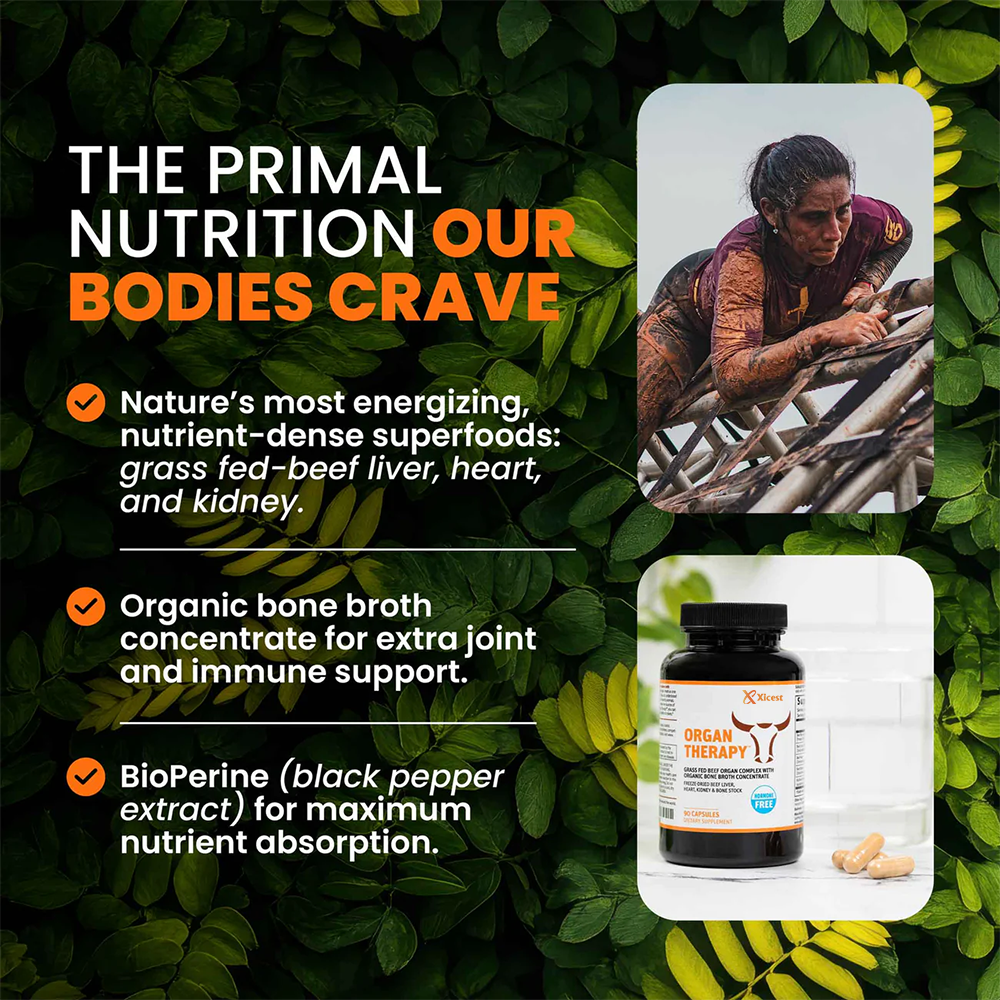 ORGAN THERAPY - Grass Fed Beef Organ Complex