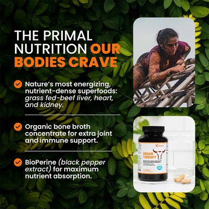 ORGAN THERAPY - Grass Fed Beef Organ Complex